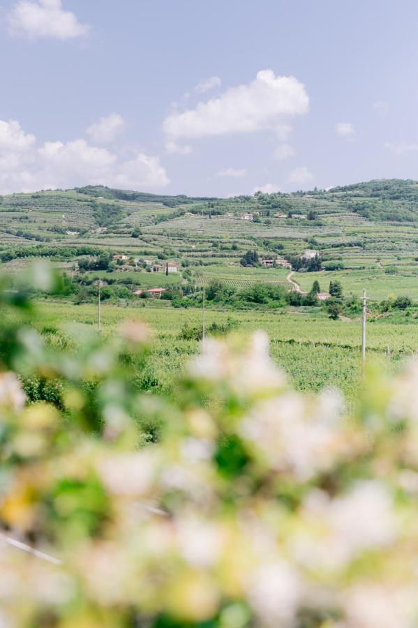 Hotel BACCO D'ORO Wine&Relais Mezzane di Sotto Esterno foto